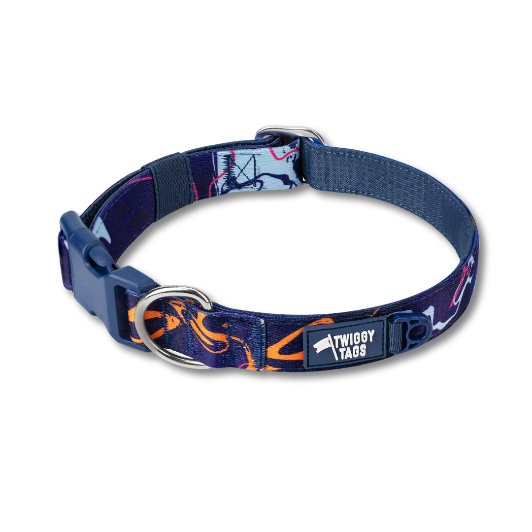 Apex® Collar | Nebula | Twiggy Tags