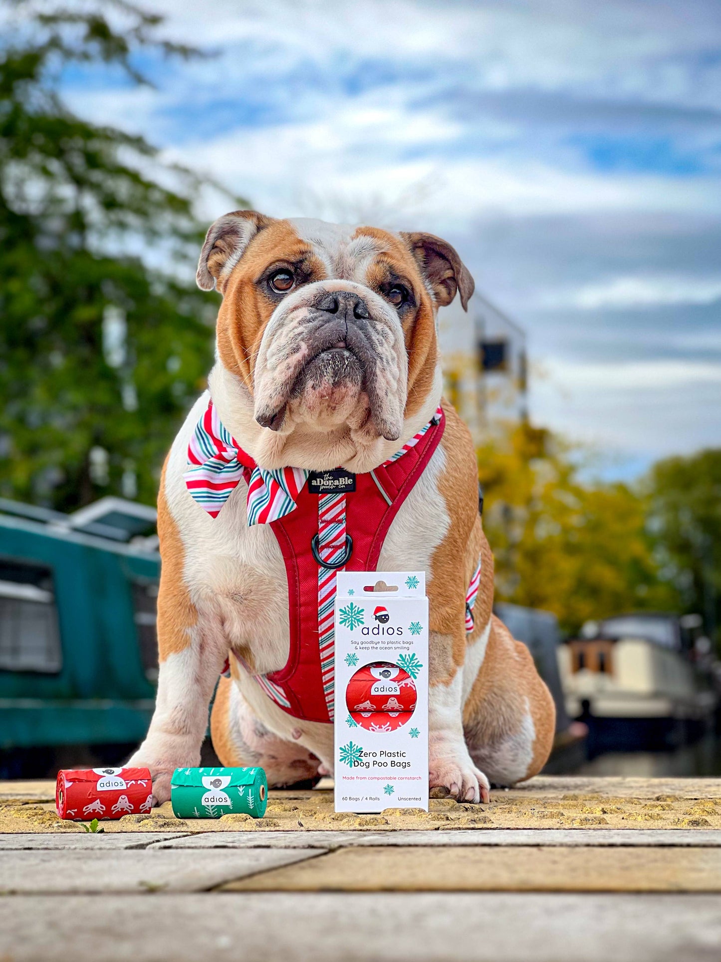 Adios - Christmas Compostable Poo Bags (Limited Stock)