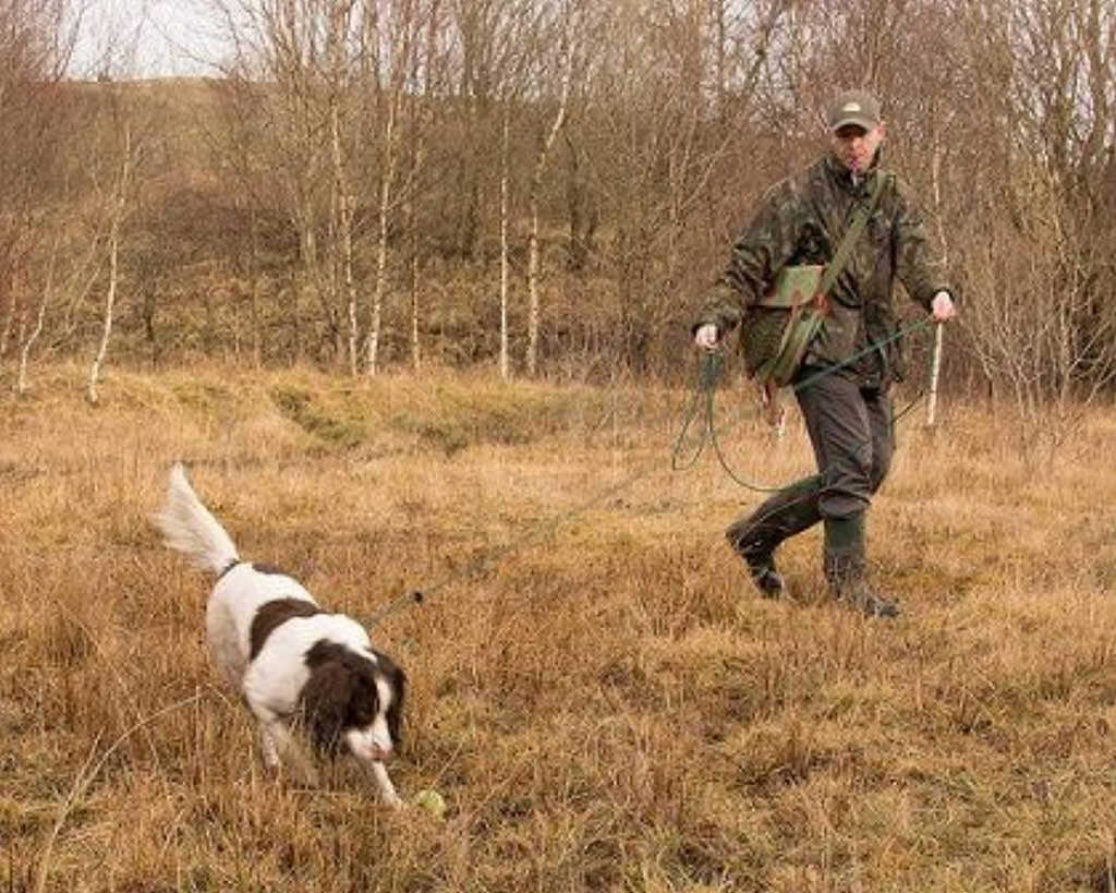 Dog and Field 2in1 10 Metre Training Lead