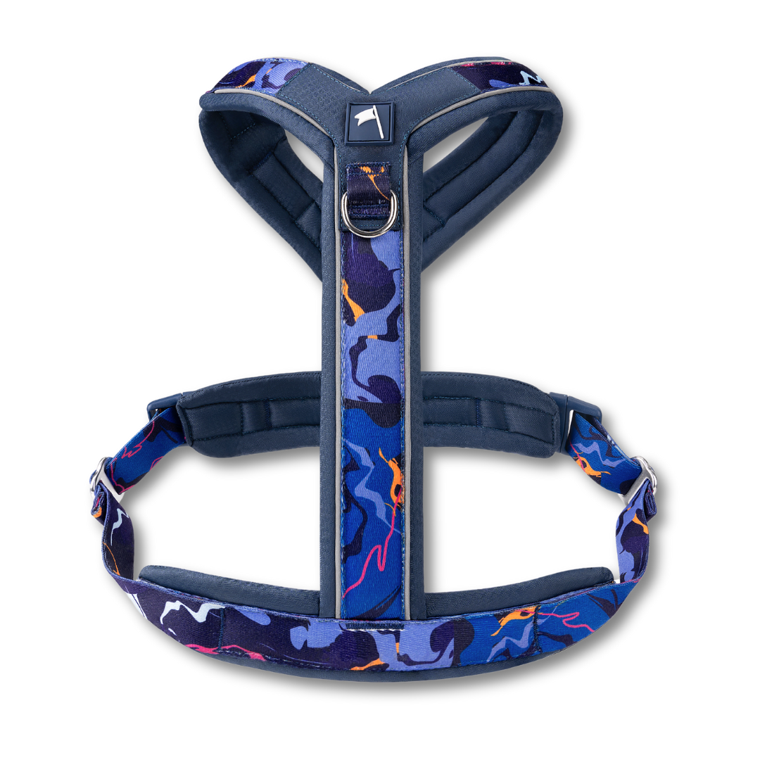 Apex® Harness | Nebula | Twiggy Tags