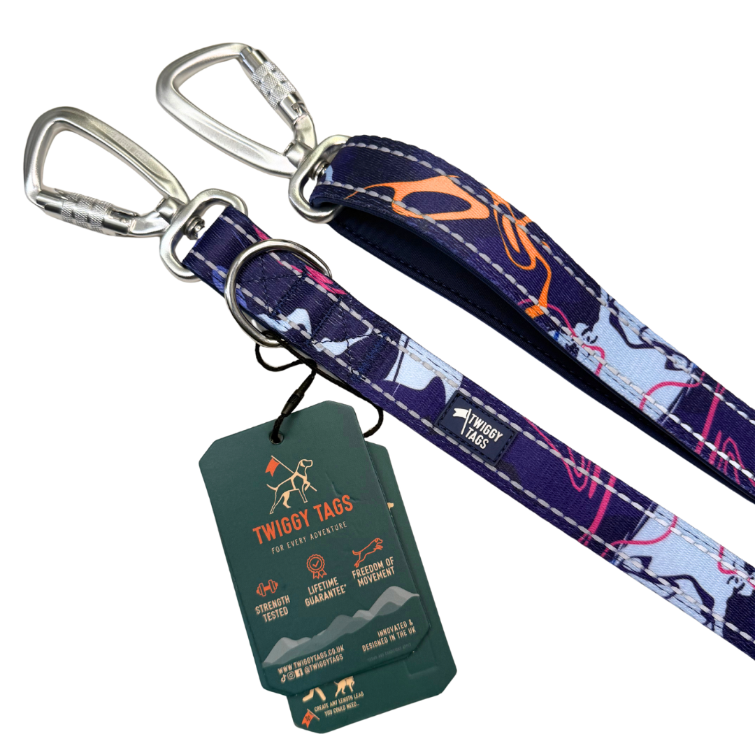 Multiway Lead | Twiggy Tags