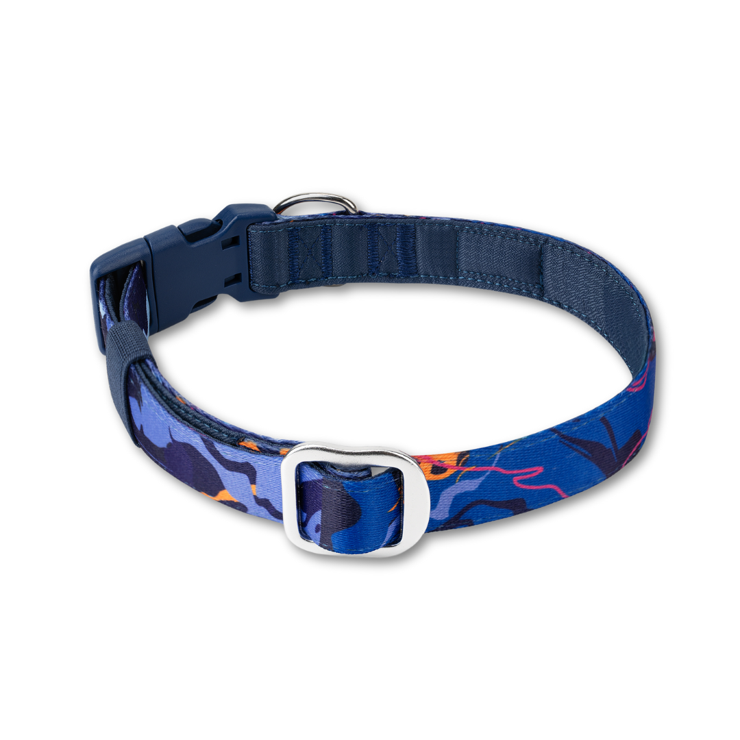 Apex® Collar | Nebula | Twiggy Tags