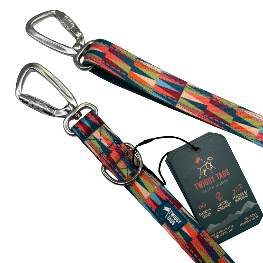 Multiway Lead | Twiggy Tags