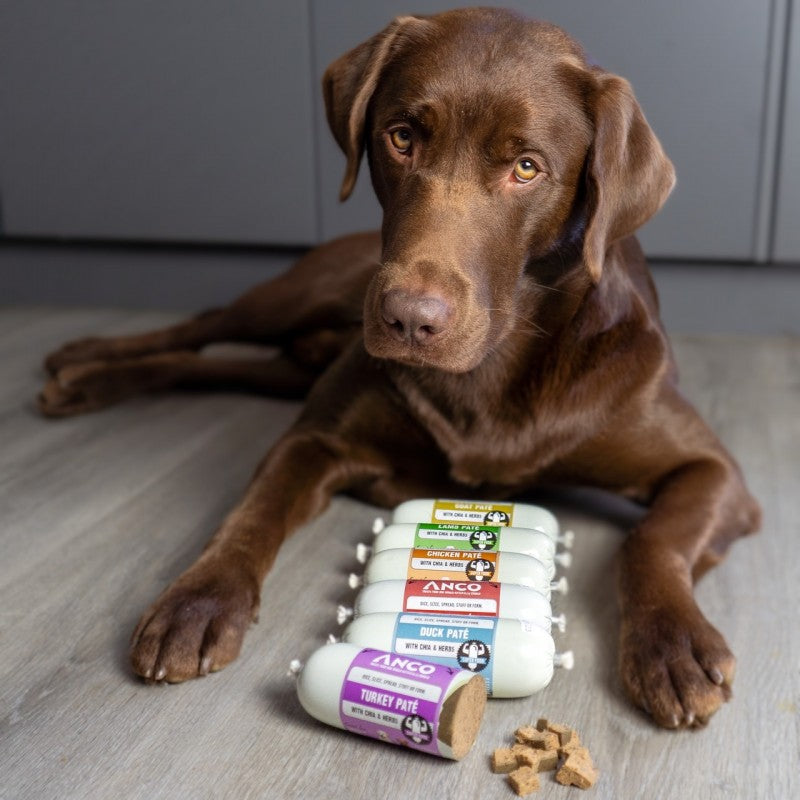 Anco paté for dogs Turkey, Chicken and Beef pate for dog training