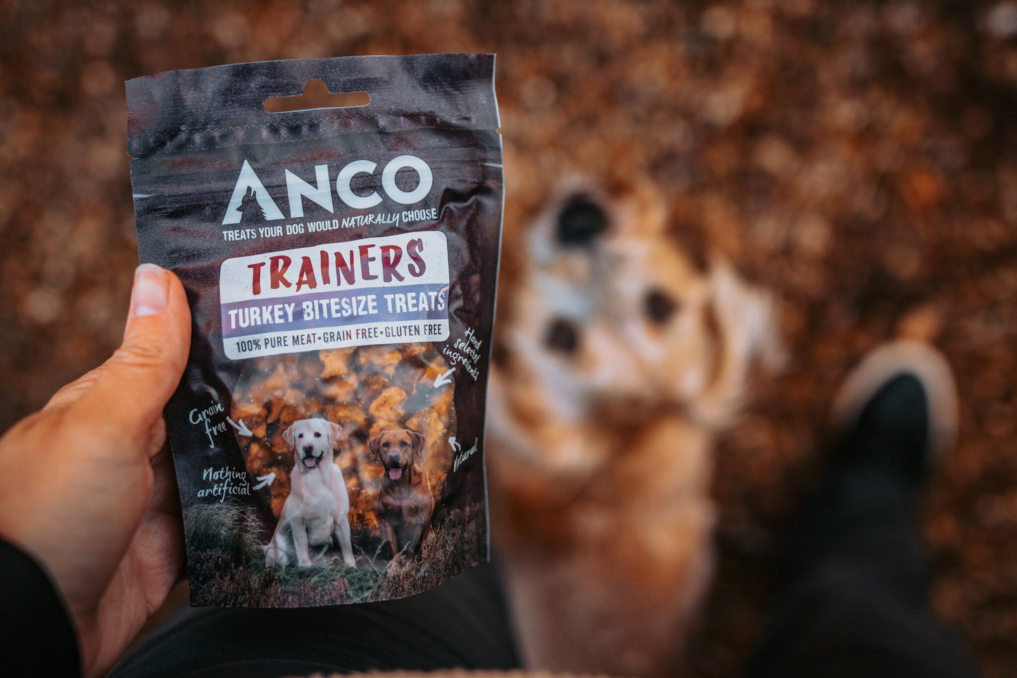 Anco Trainers Fish 65g