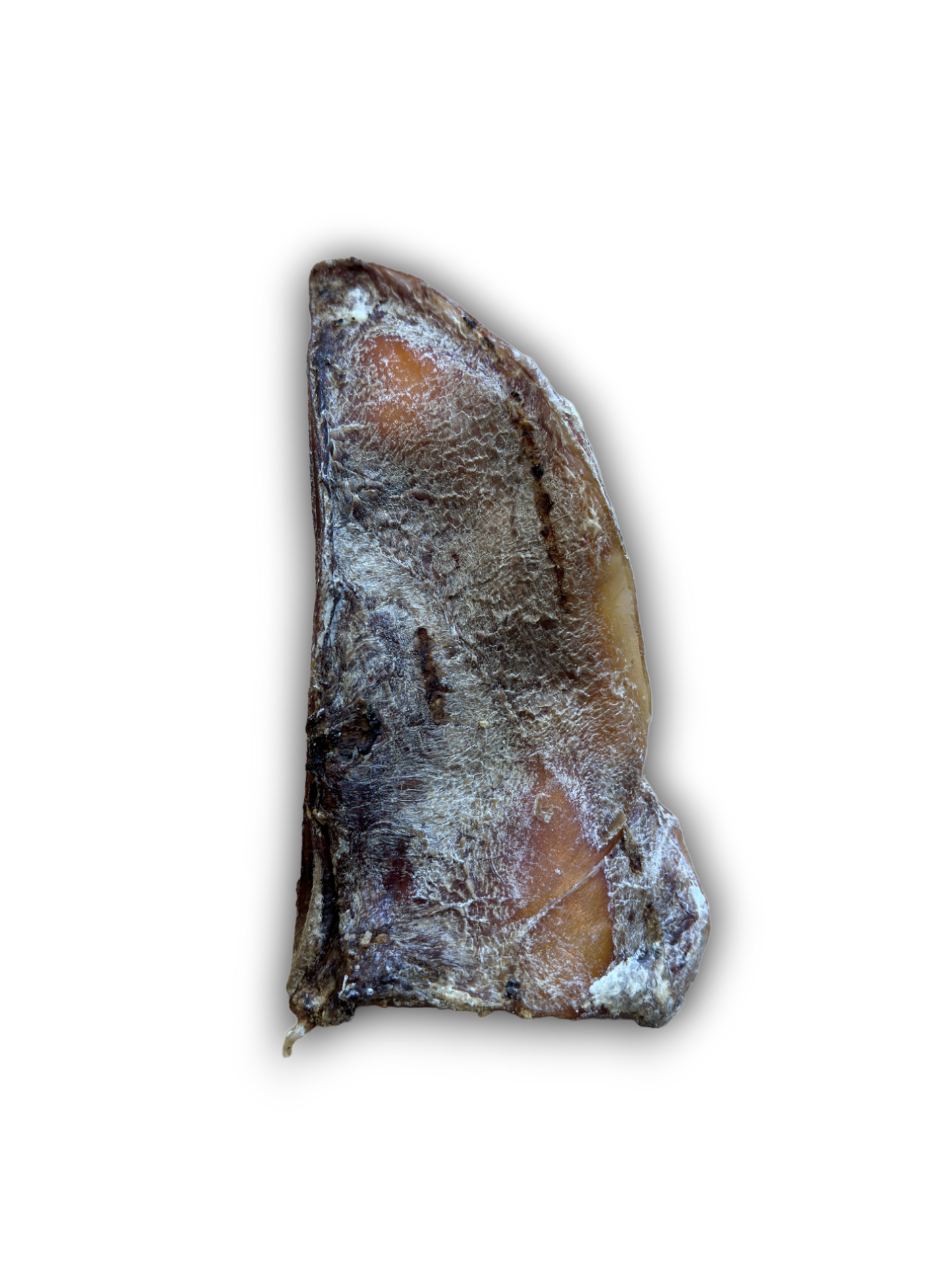 Moon Bones | Large | Anco Naturals