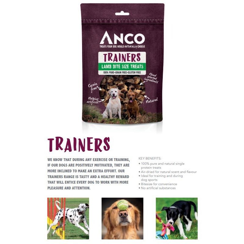 Anco Trainers Fish 65g