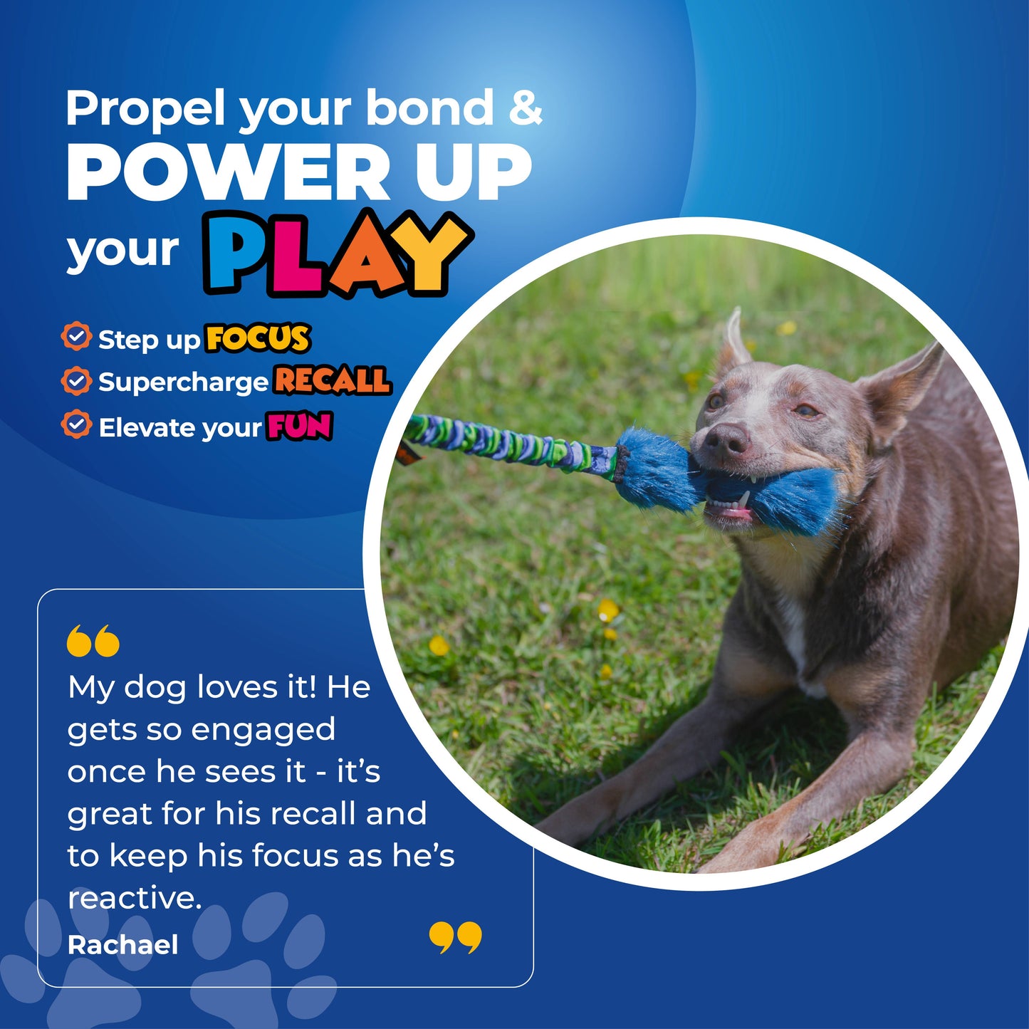 Bright Fauxtastic | Dog Tug Toy | Tug-E-Nuff