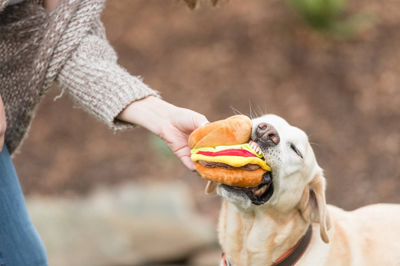 P.L.A.Y American Classic Barky Burger