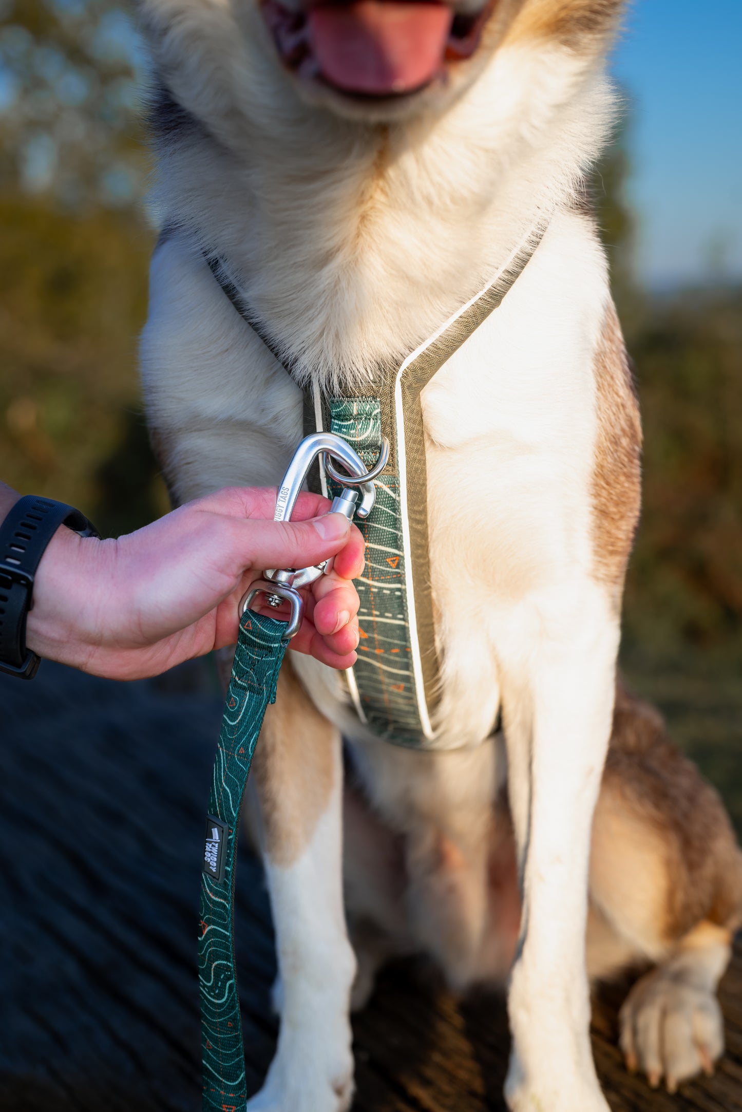 Apex® Lead | Twiggy Tags | Nomad