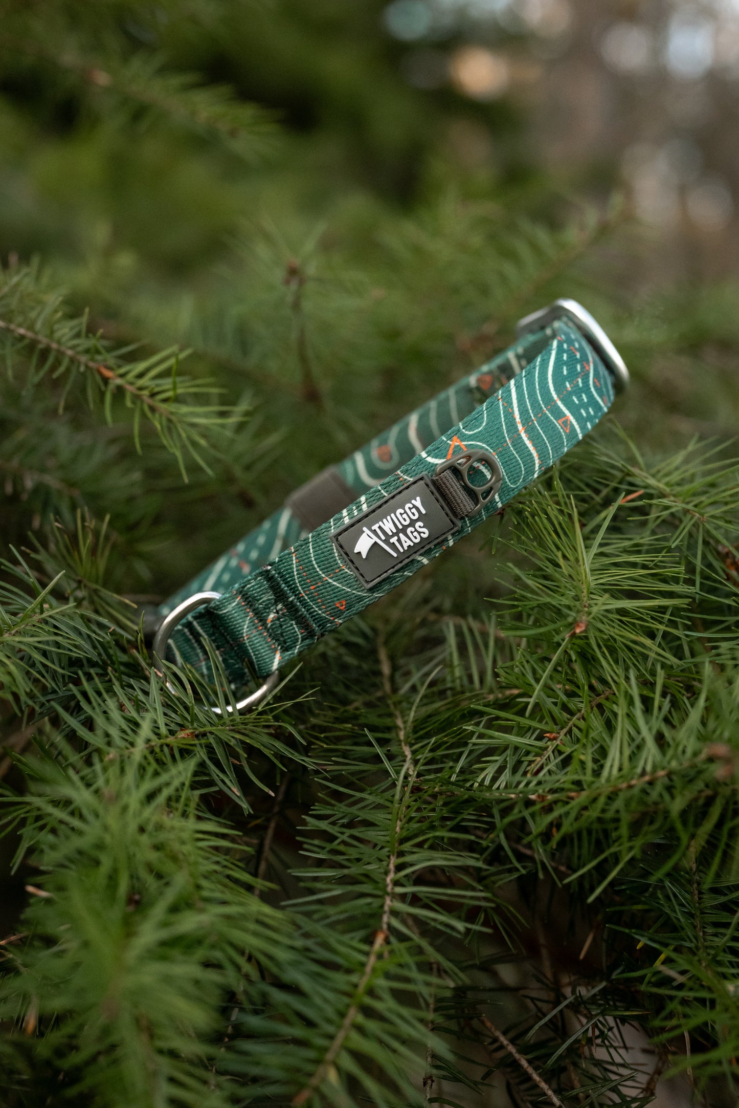 Apex® Collar | Twiggy Tags | Nomad
