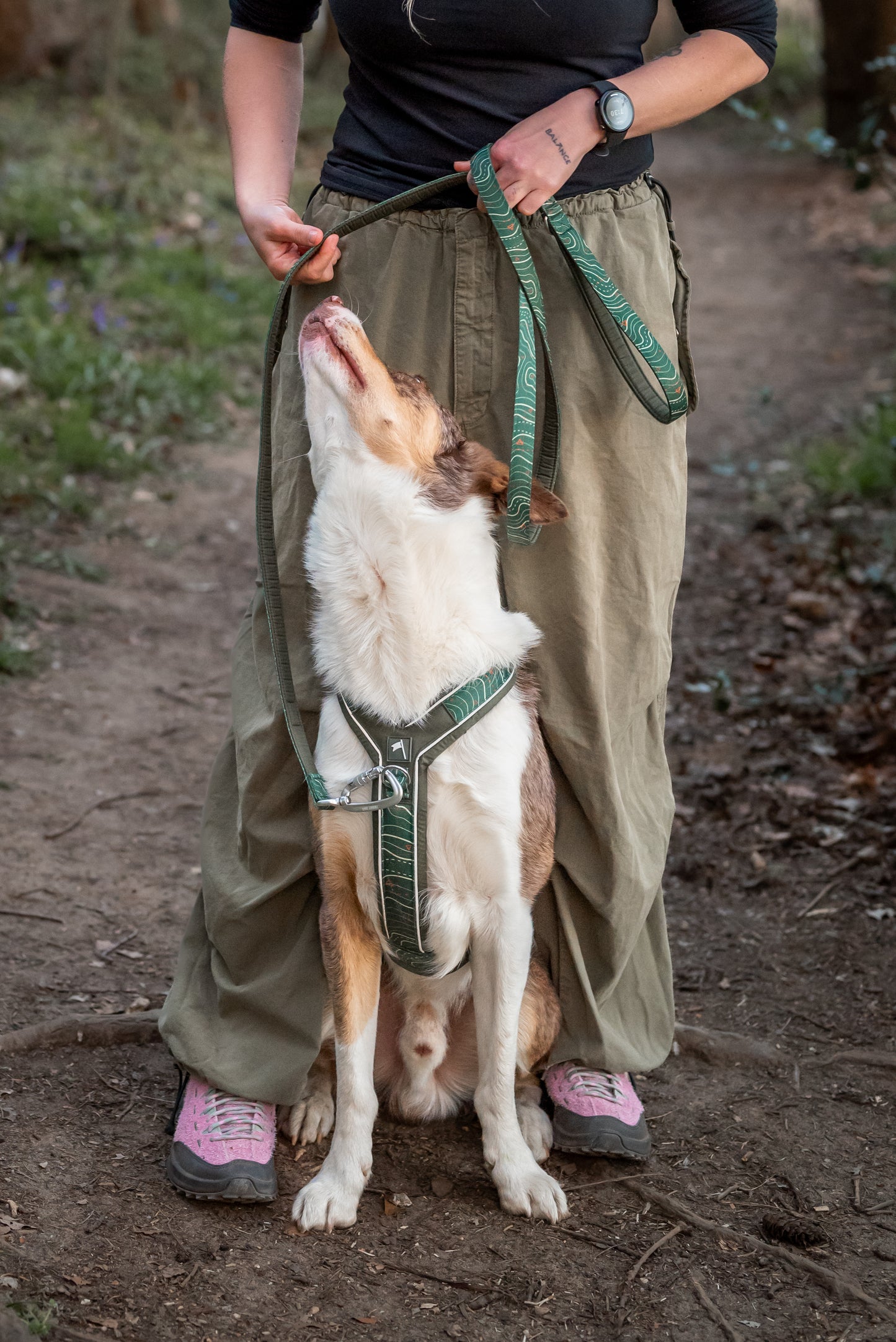 Apex® Harness | Twiggy Tags | Nomad