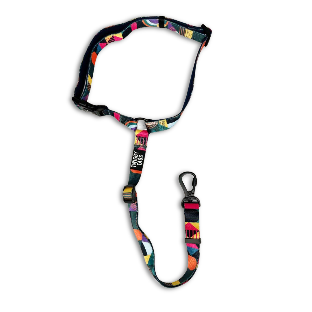 Twiggy Tags Adventure Dog Seat Belt in Aurora Pattern. Car seatbelt for dogs with locking carabiner