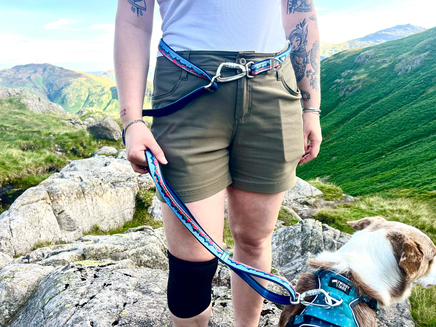 Trailfinder | Multiway Lead | Twiggy Tags