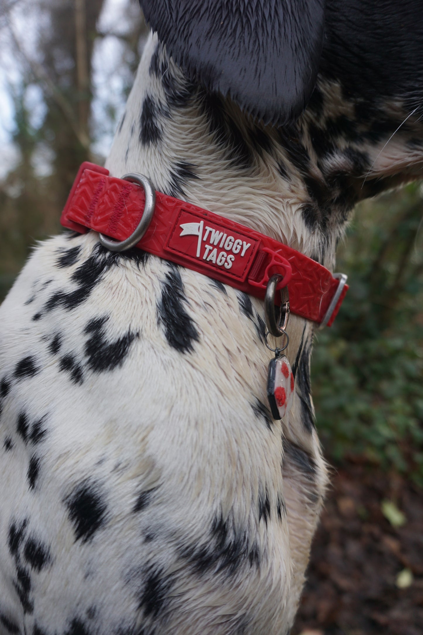 Tidal Collar | PVC Waterproof | Twiggy Tags