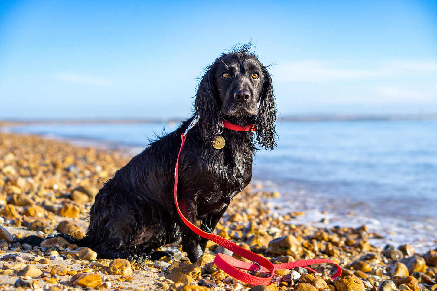 Tidal Lead | PVC Waterproof | Twiggy Tags