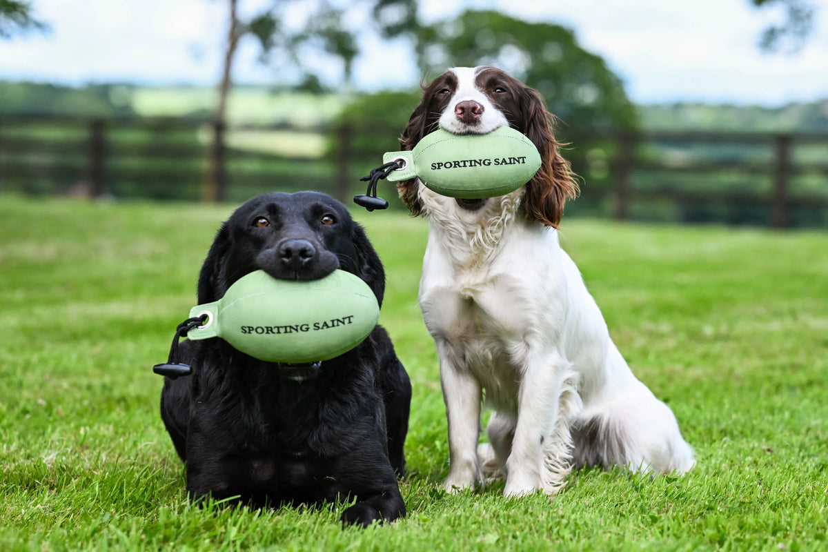 Retrieve Dummy | Sporting Saint
