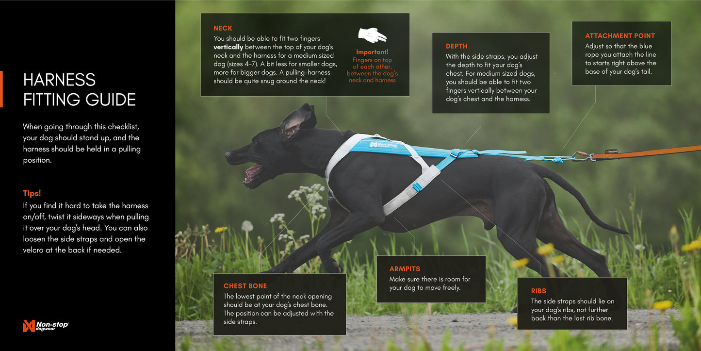 Non-stop Dogwear Freemotion harness 5.0