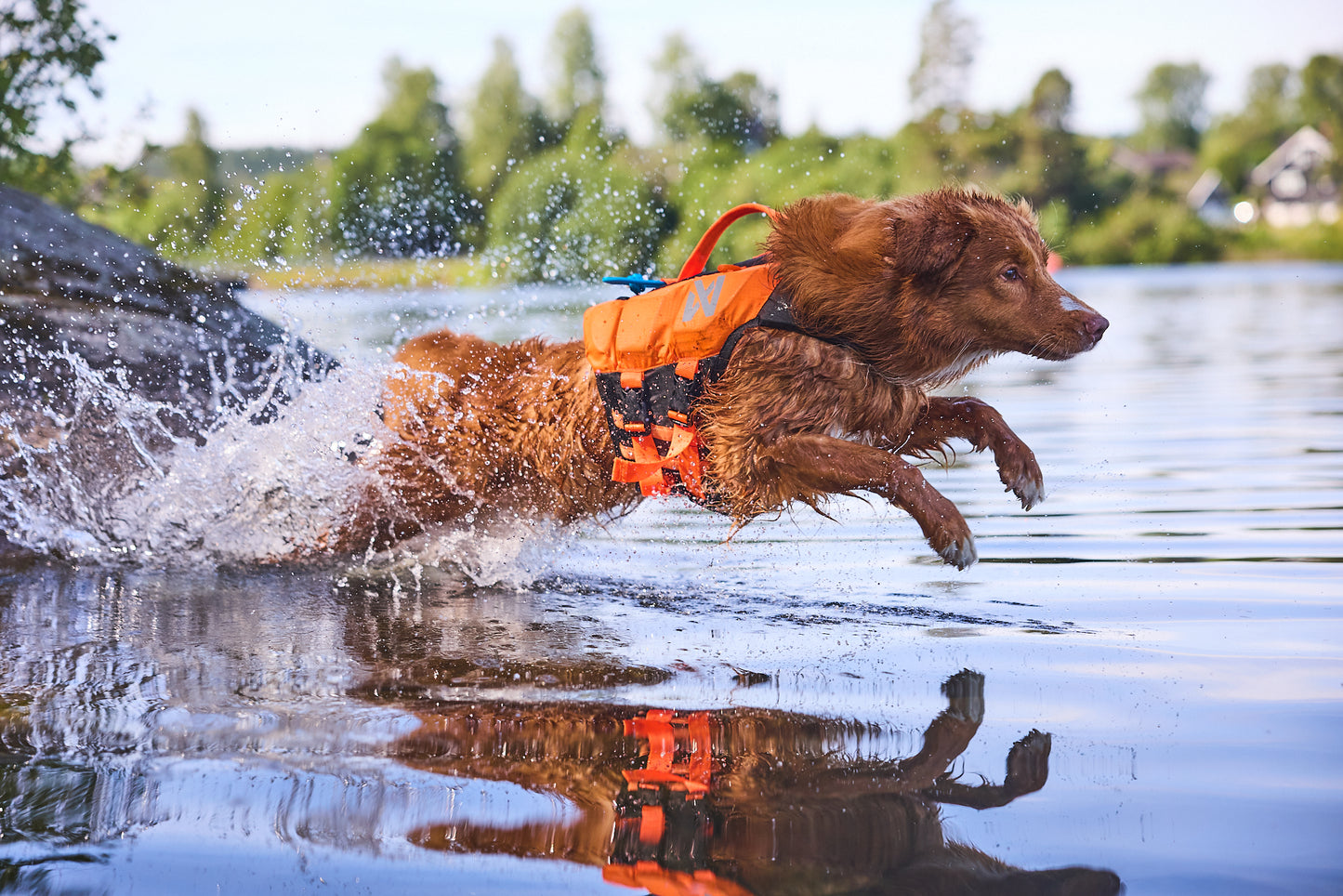 Non-stop Dogwear Protector Lifejacket for Dogs