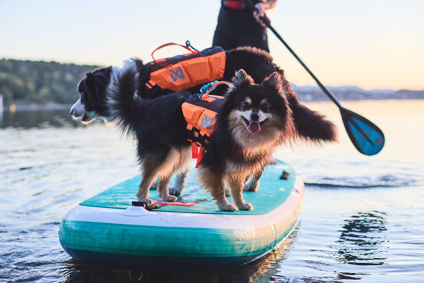 Non-stop Dogwear Protector Lifejacket for Dogs