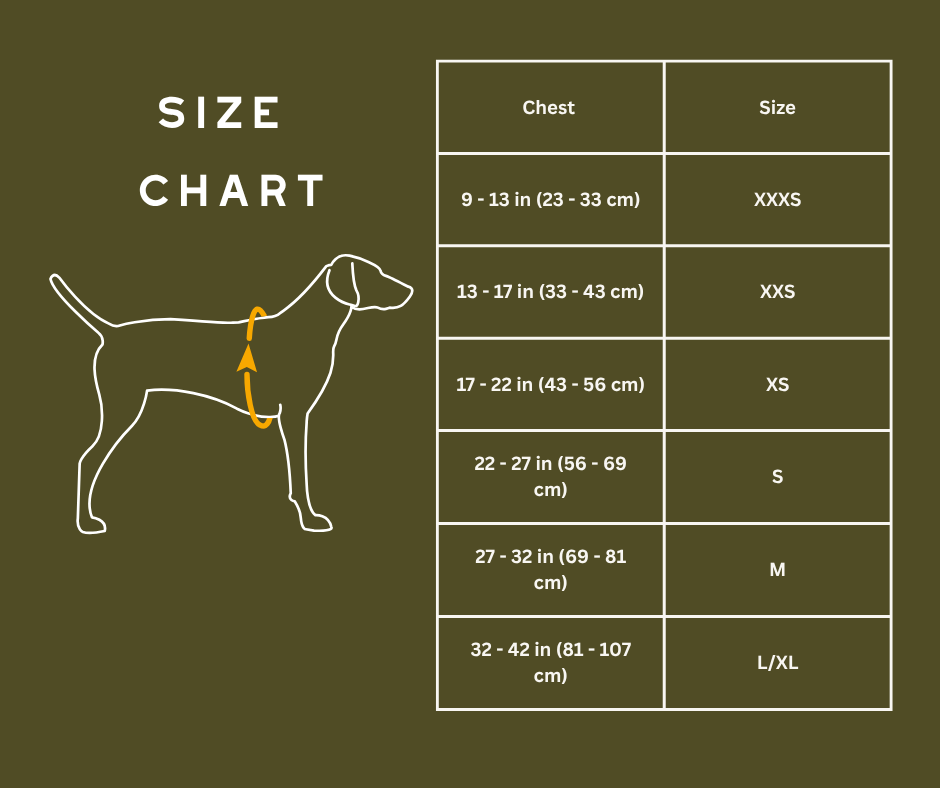 Ruffwear Hi and Light Dog Harness