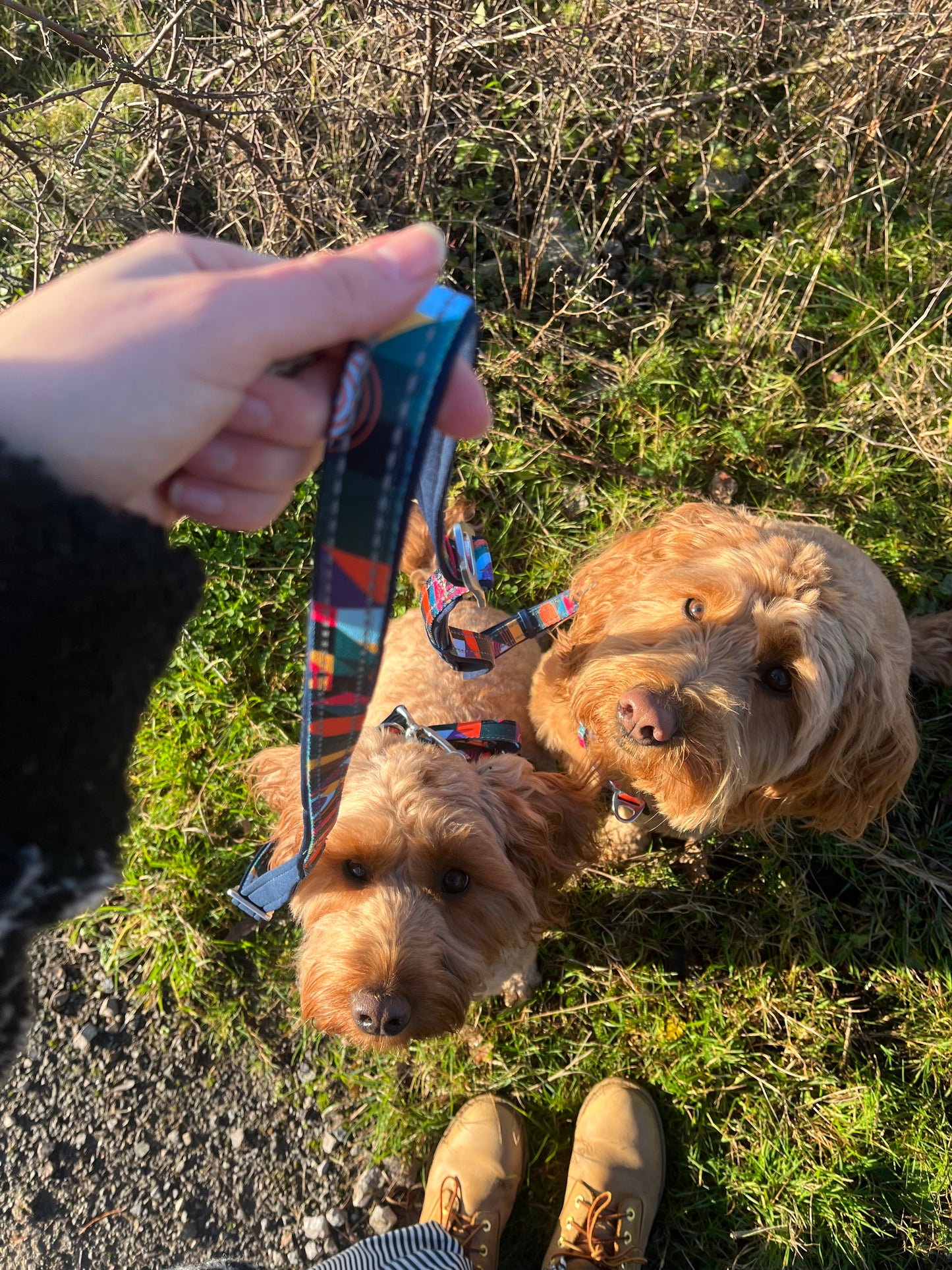Multiway Lead | Twiggy Tags