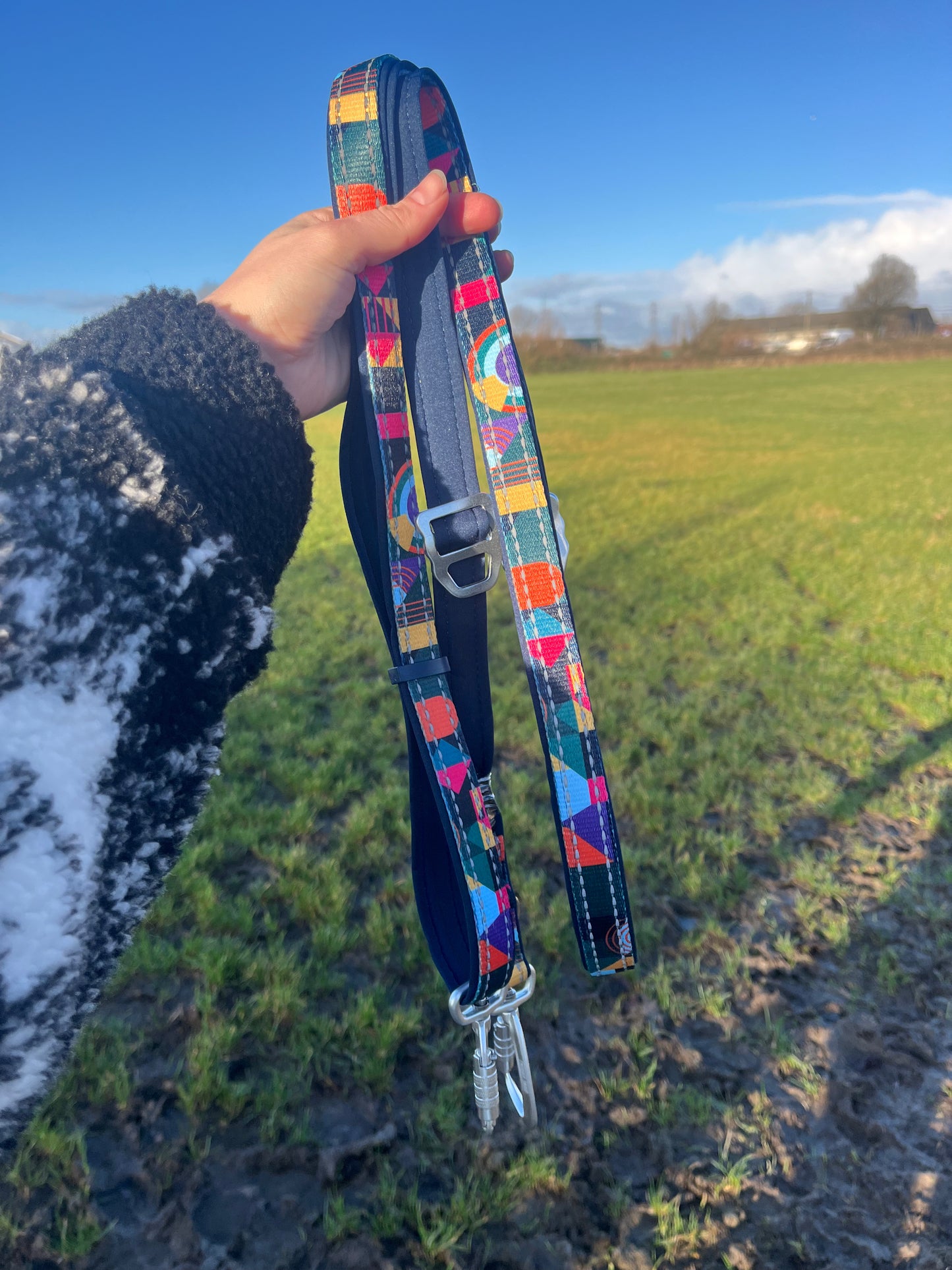 Multiway Lead | Twiggy Tags