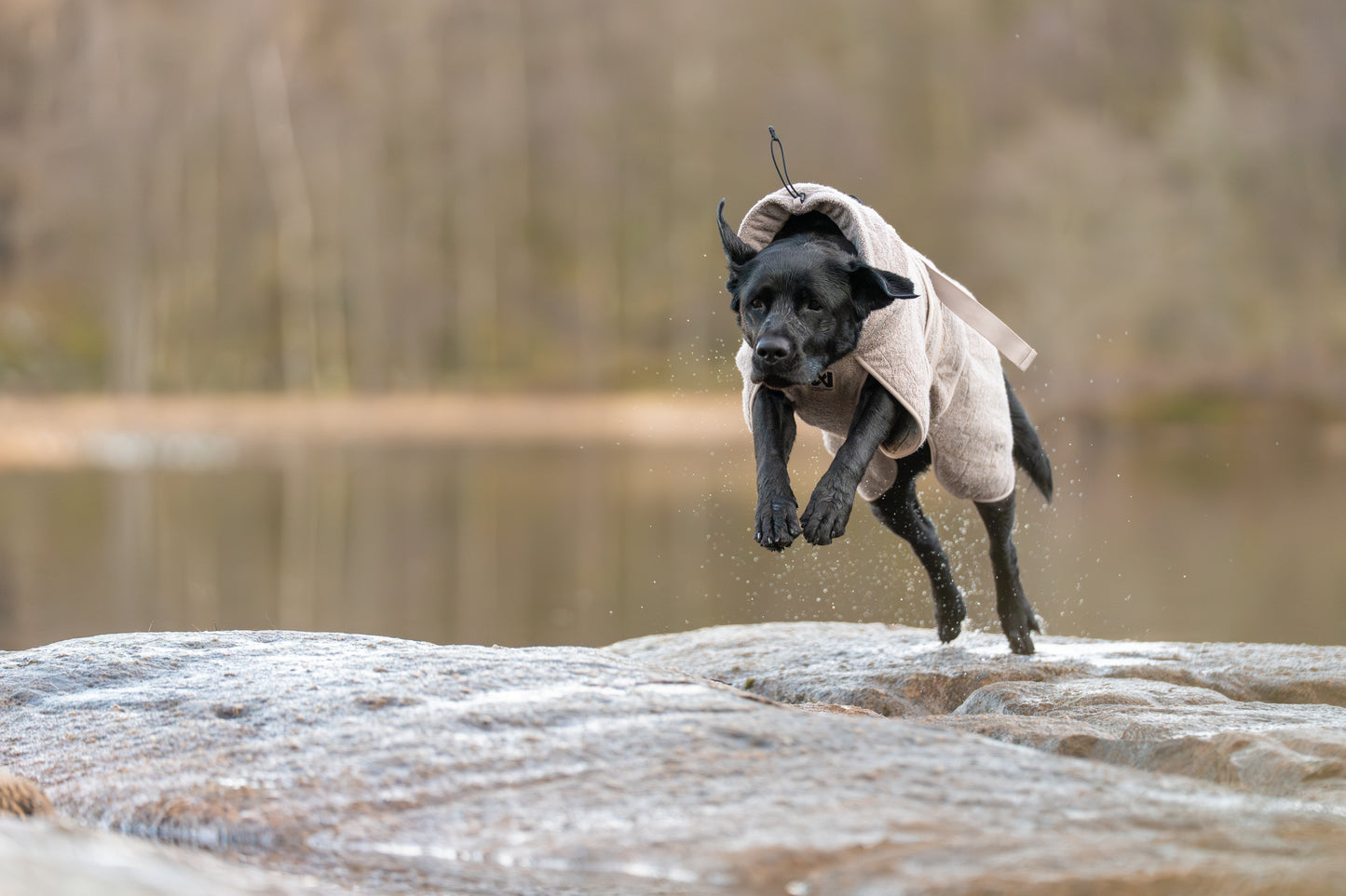 Drying Coat | Non-stop Dogwear