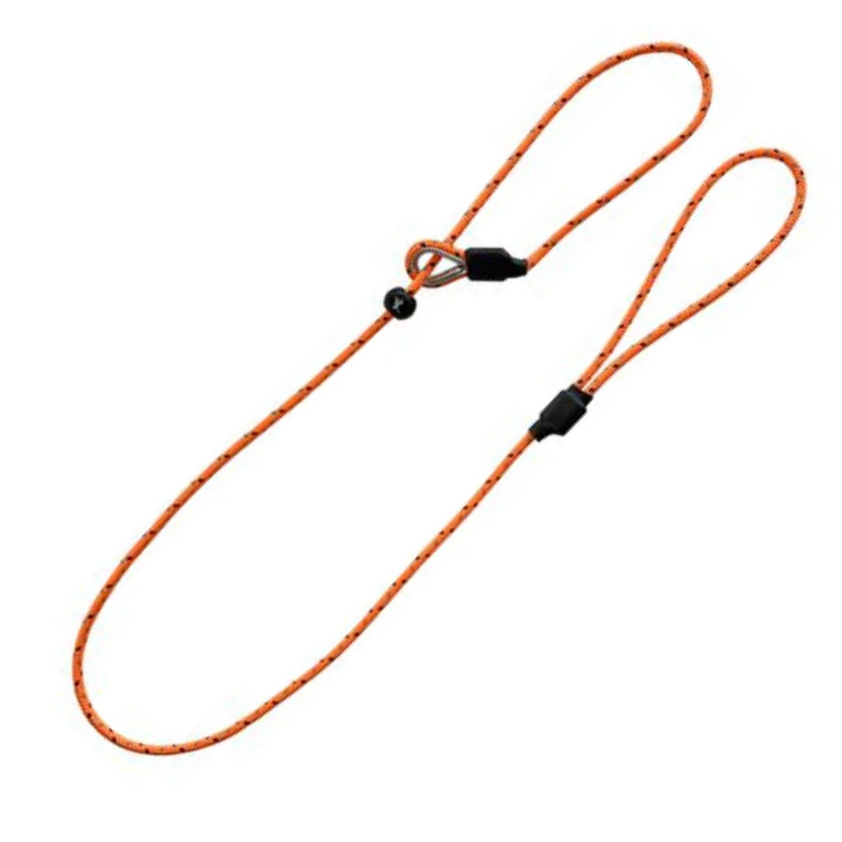 Bright Orange Slip Lead for Dogs for Gundog Training from Sporting Saint at Track and Trail Canine Outfitters in Dumfries