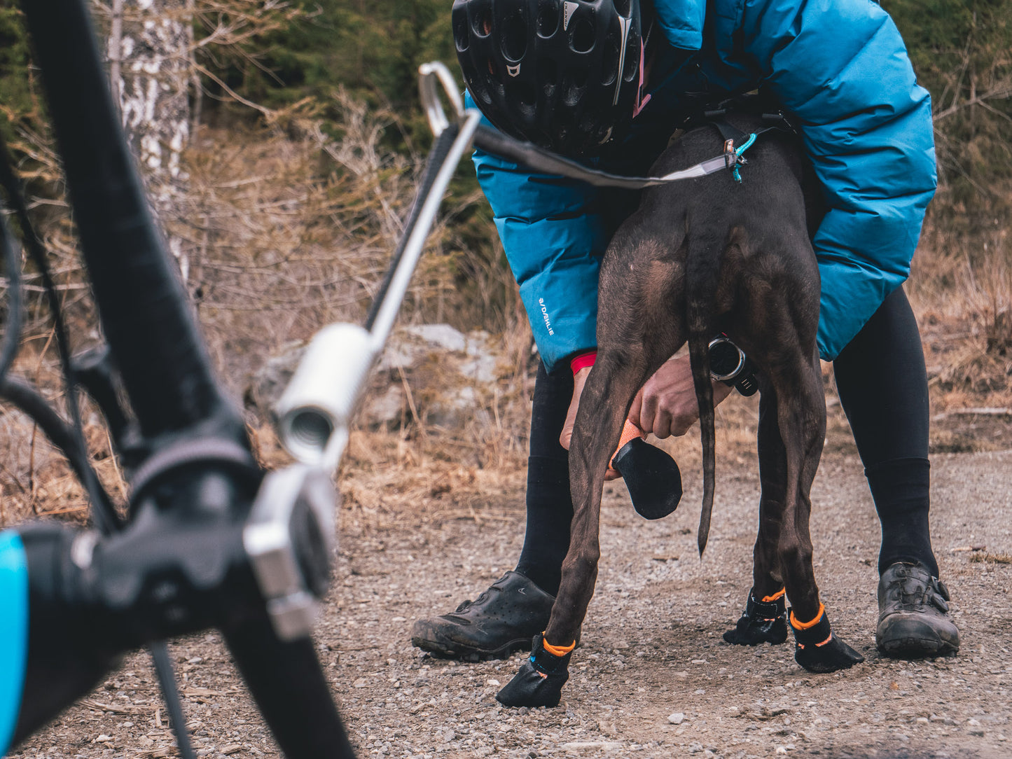 Non-stop Dogwear Protector Bootie