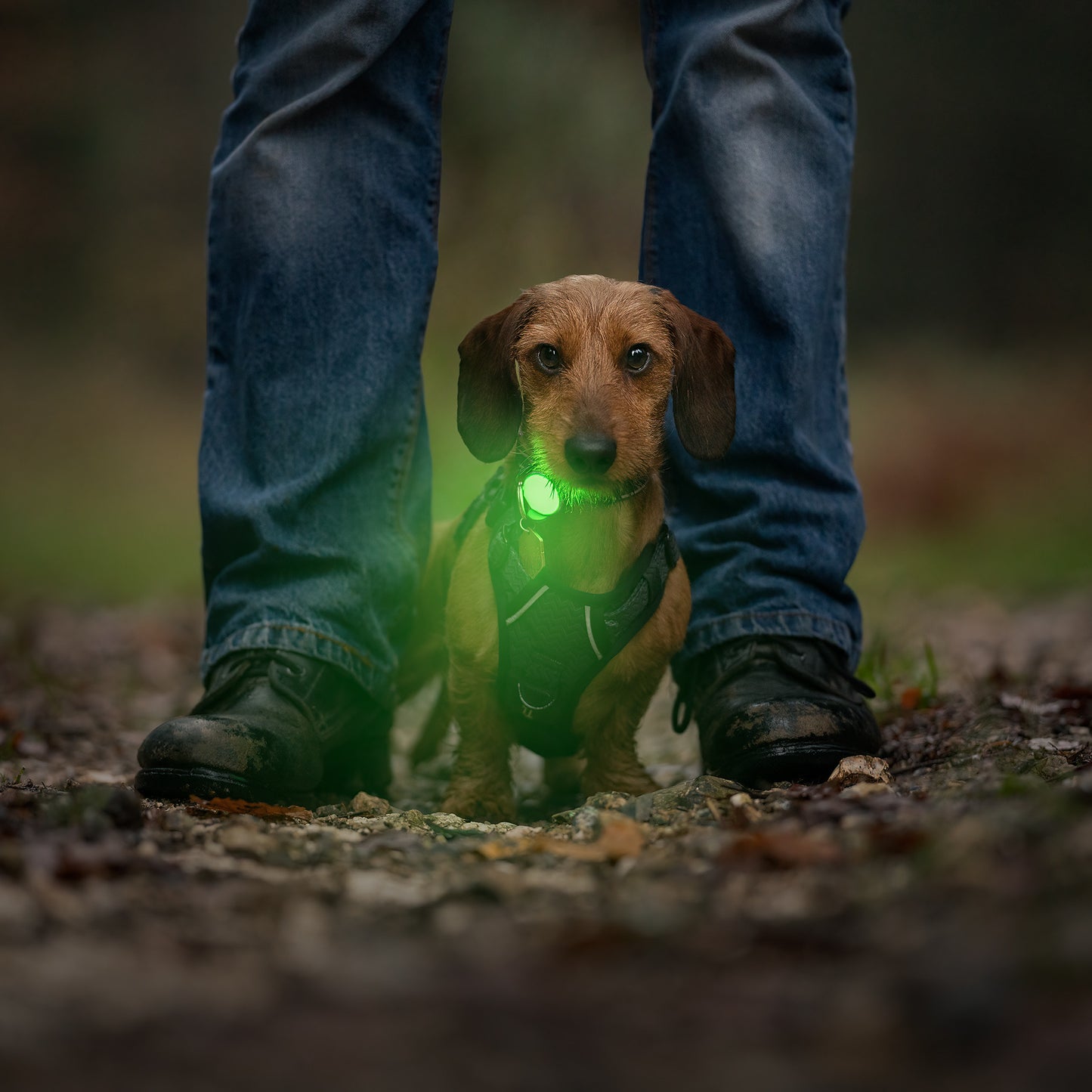 Trek Bright Safety Light | Twiggy Tags