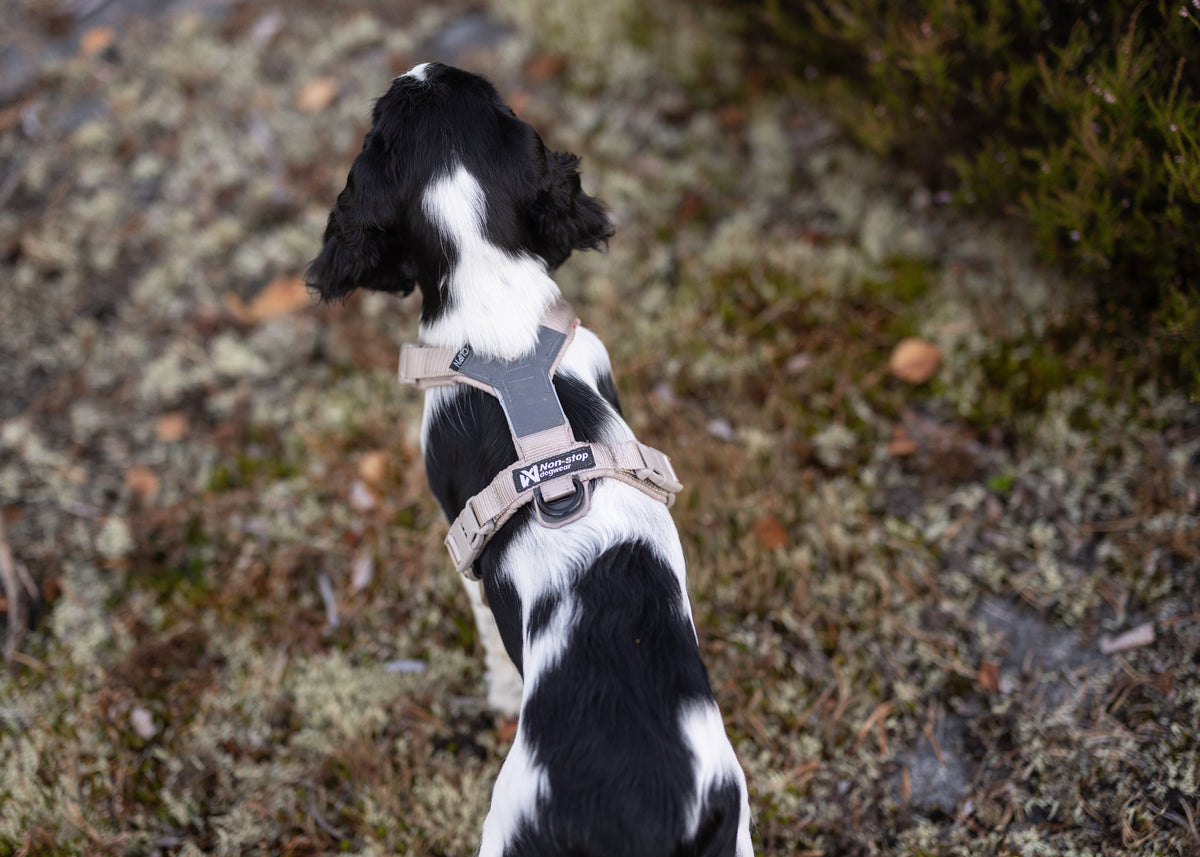 Trekking line harness CLIP'N™ | Non-stop Dogwear