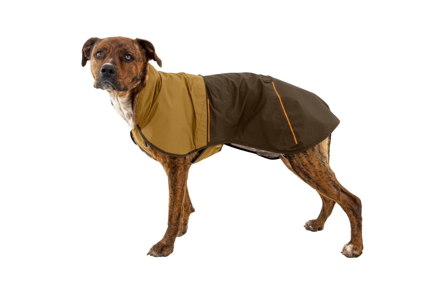 Ruffwear Sun Shower™ Dog Jacket