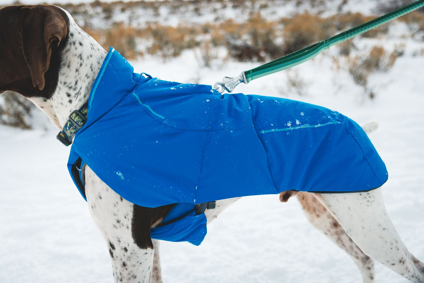 Ruffwear Vert™ Waterproof Dog Jacket