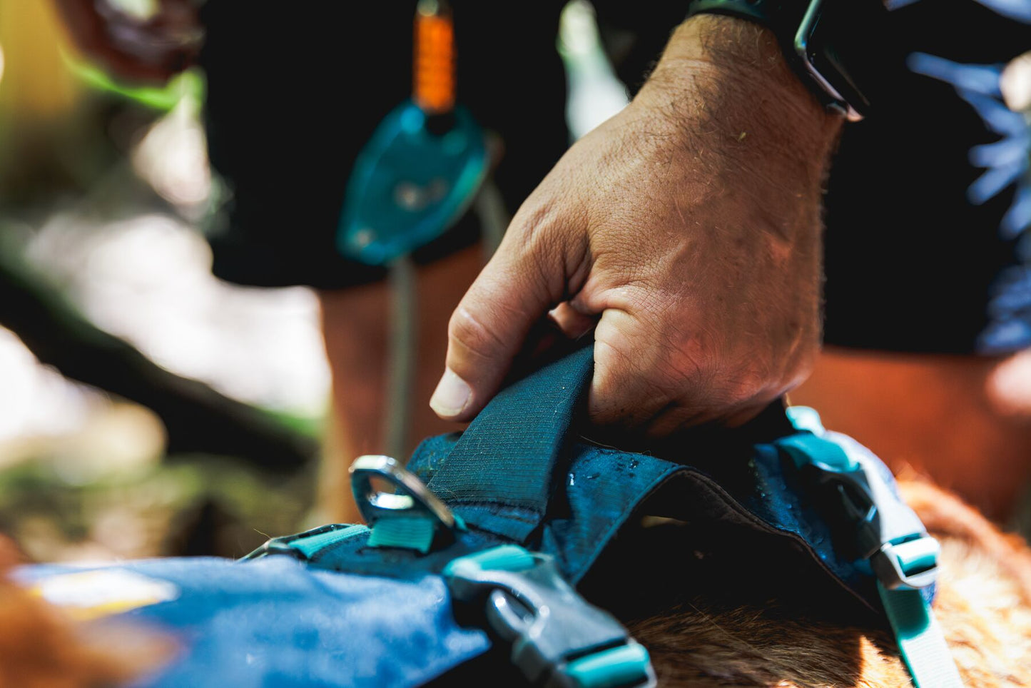 Ruffwear Flagline™ Harness