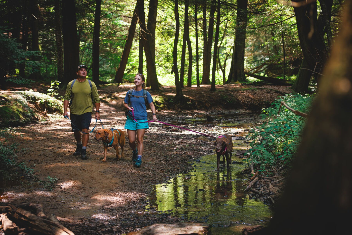 Flagline Leash | Ruffwear