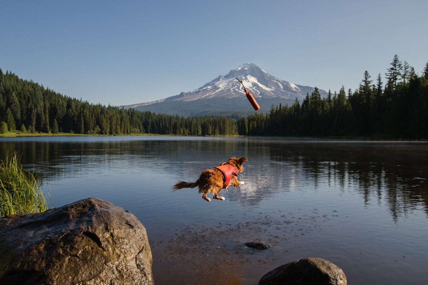 Lunker Floating Throw Toy | Ruffwear