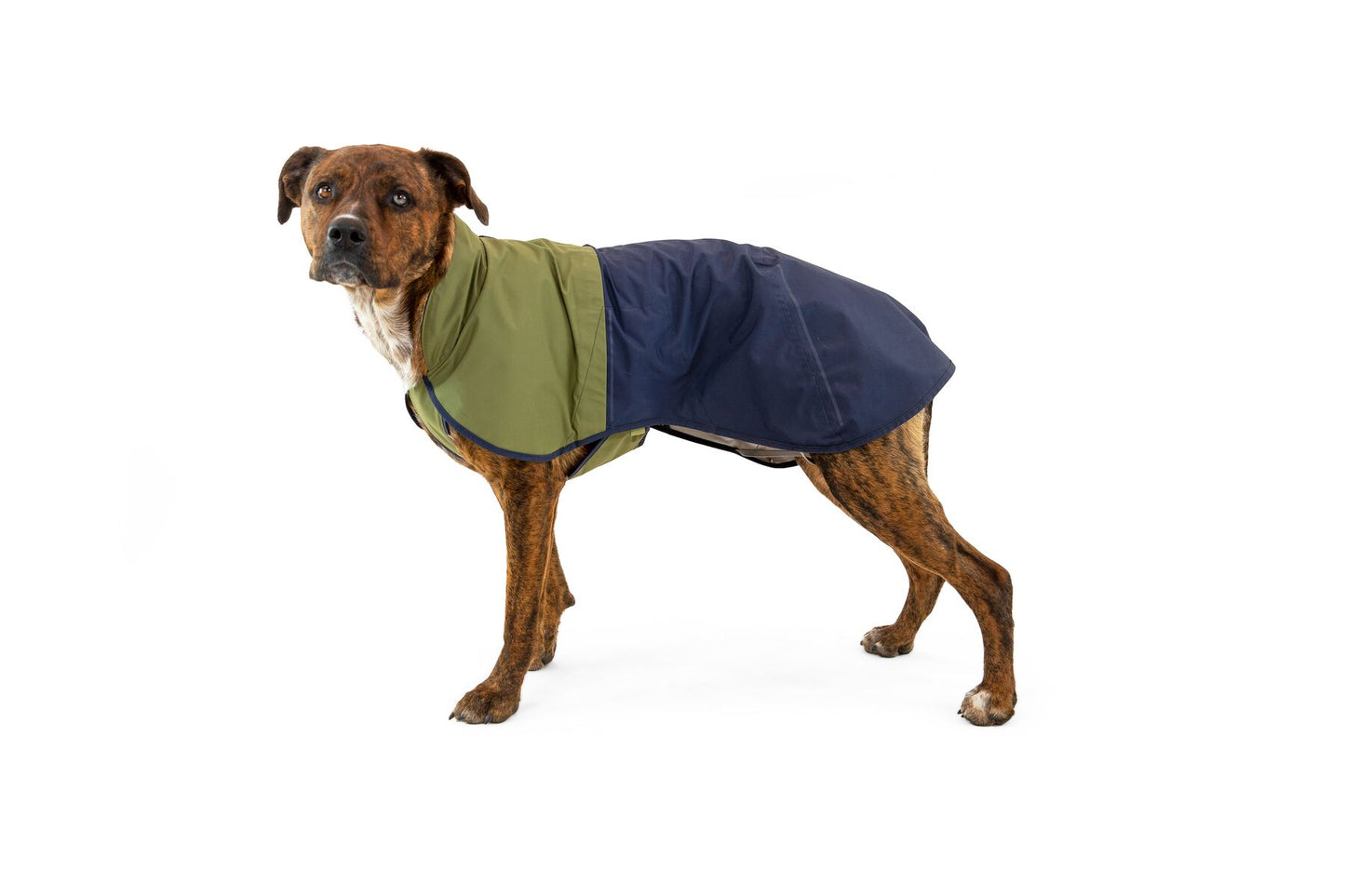 Ruffwear Sun Shower™ Dog Jacket