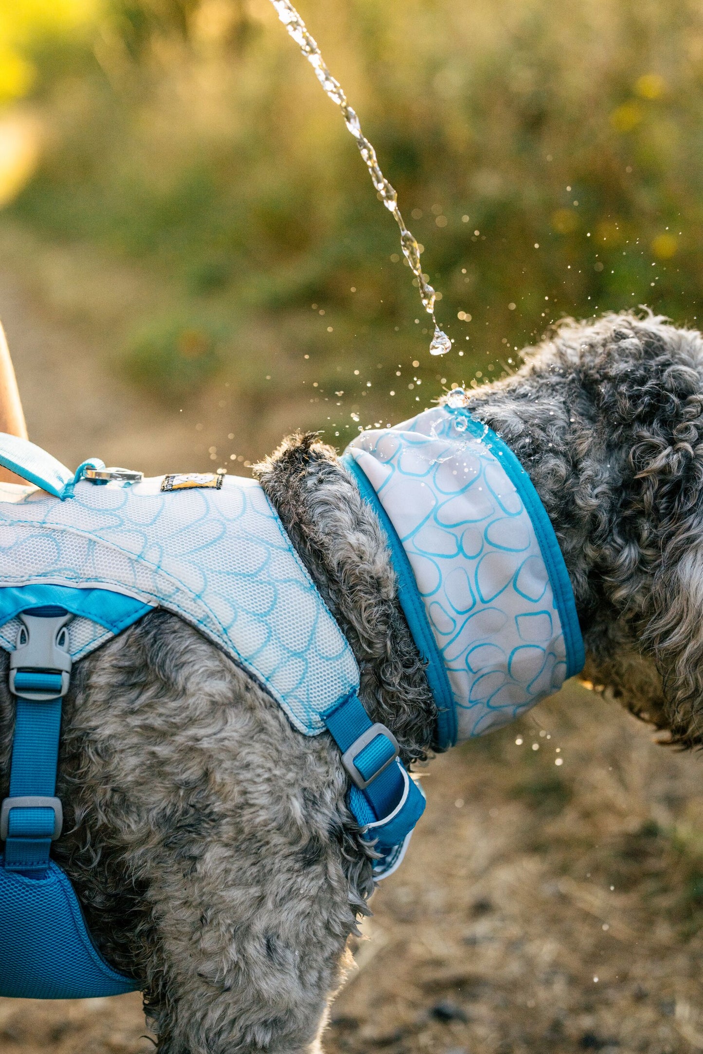 Swamp Cooler Harness | Ruffwear