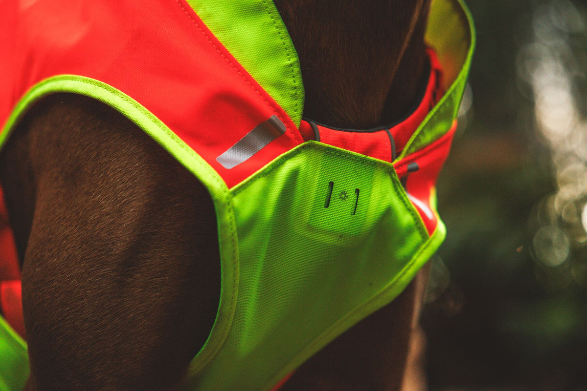 Ruffwear Lumenglow™ Hi-Vis Dog Vest