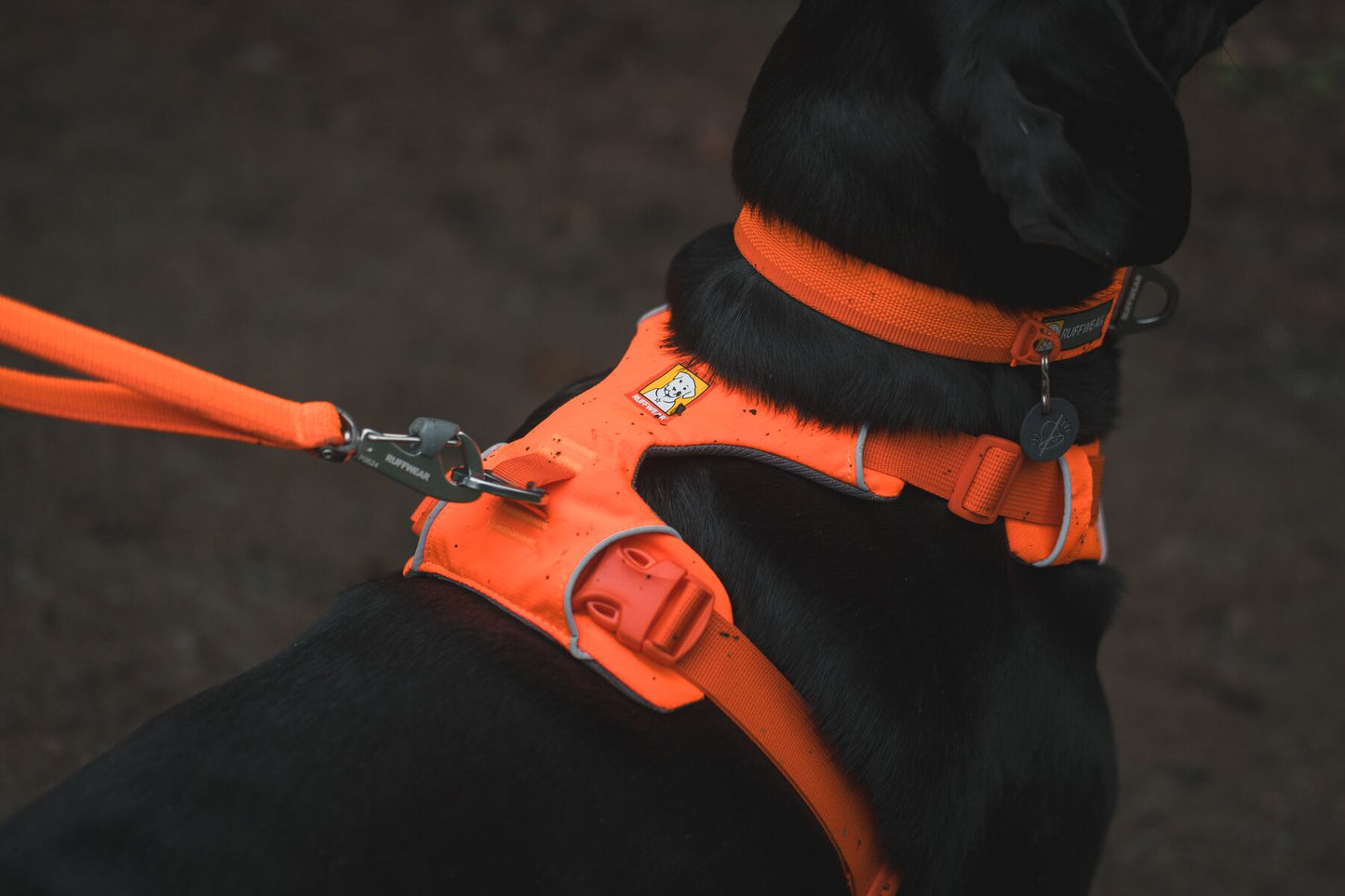 Ruffwear Front Range® Harness