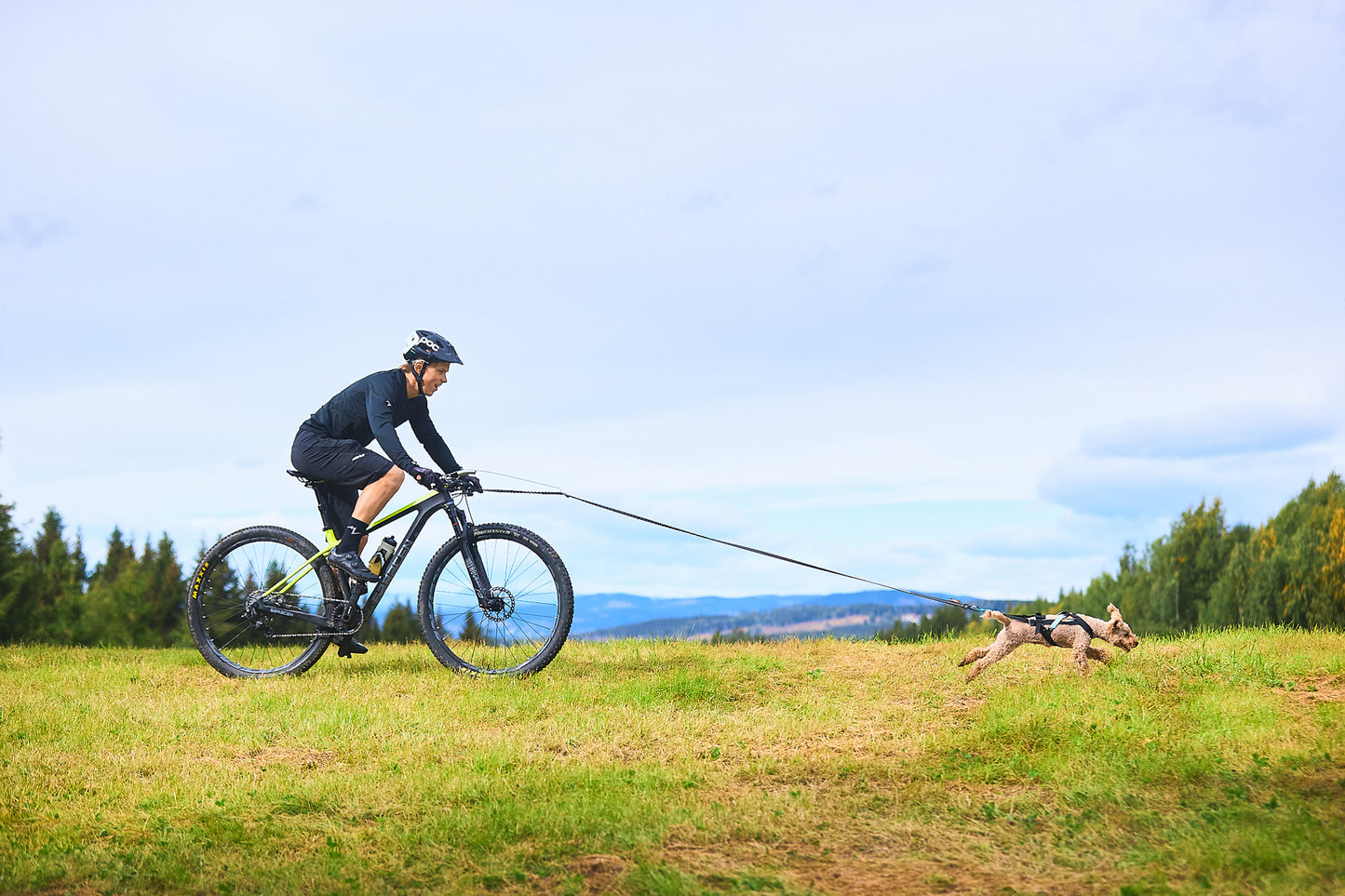 Bikejor Bike Antenna | Non-stop Dogwear