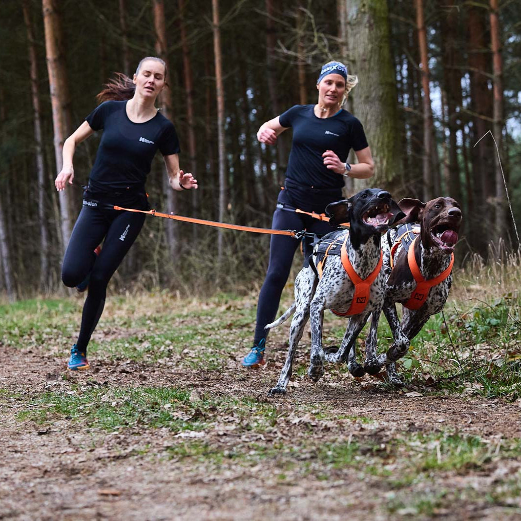 Non-stop Dogwear Canix Belt Pro