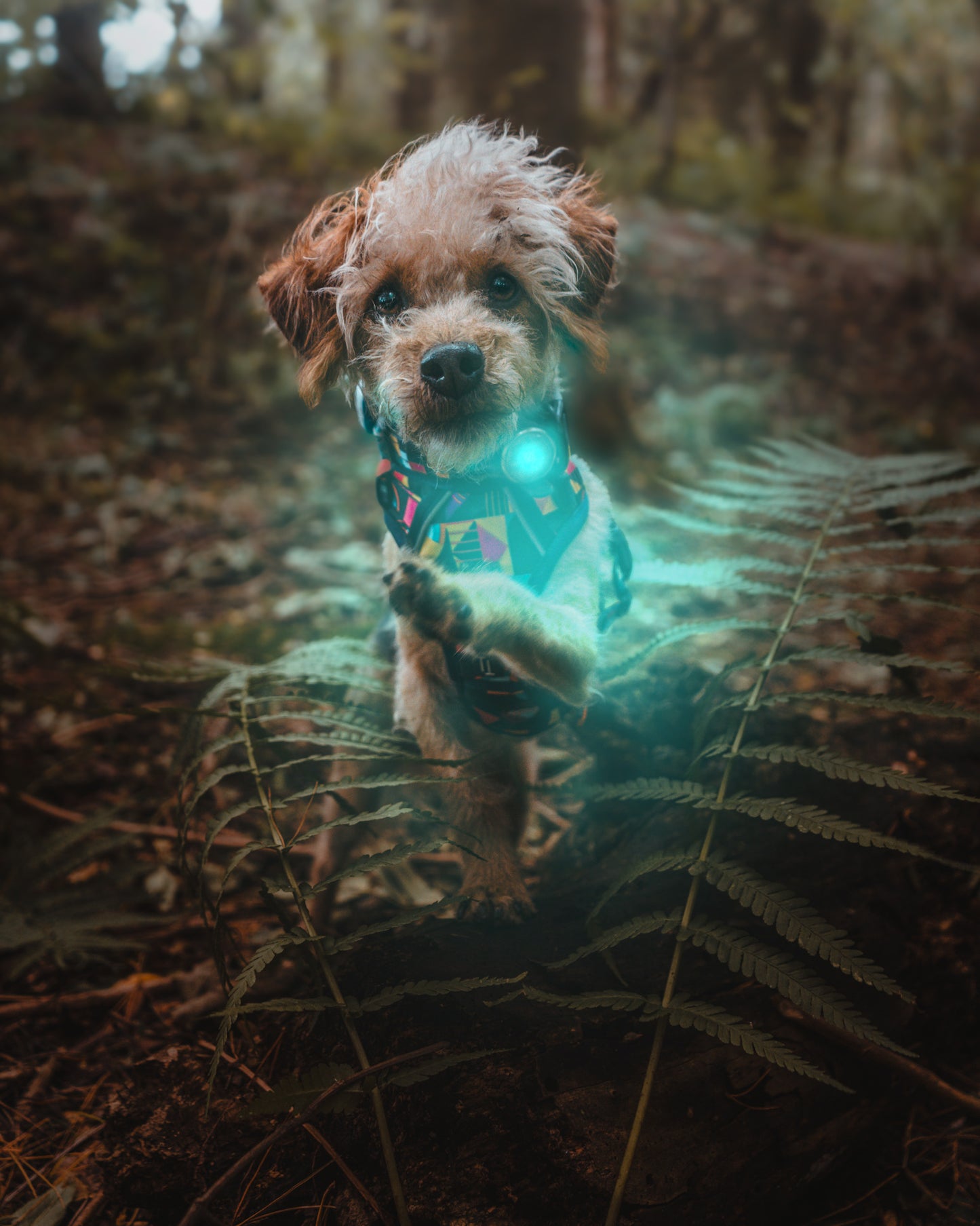 Trek Bright Safety Light | Twiggy Tags
