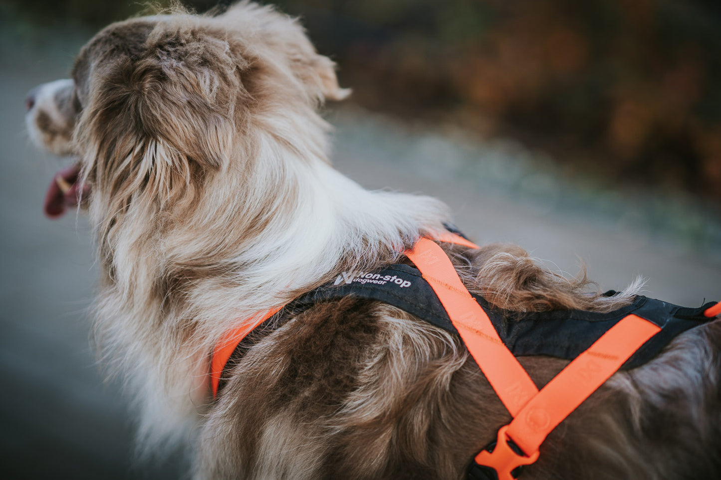 Non-stop Dogwear Rush Harness