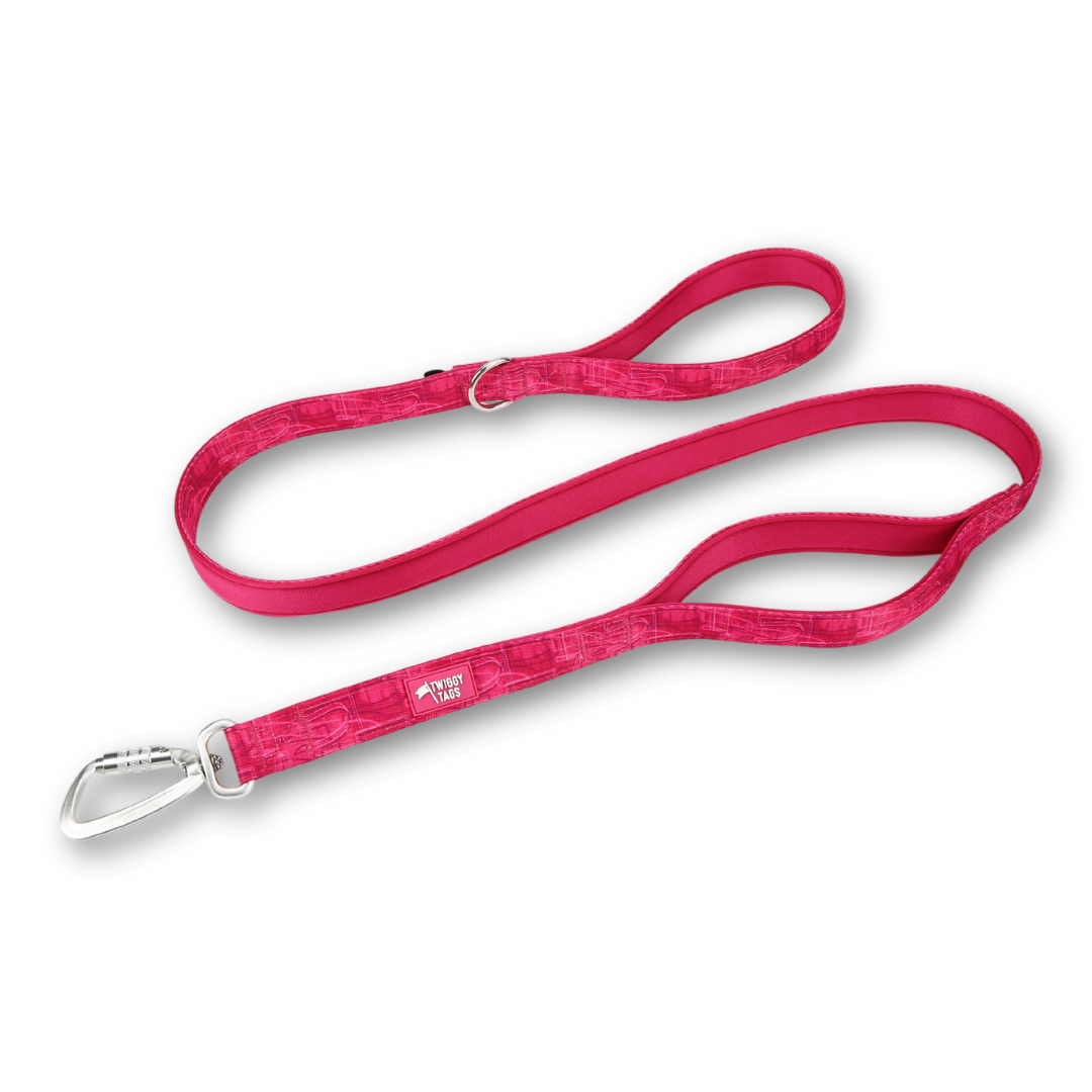 Adventure Close Control Lead | Twiggy Tags