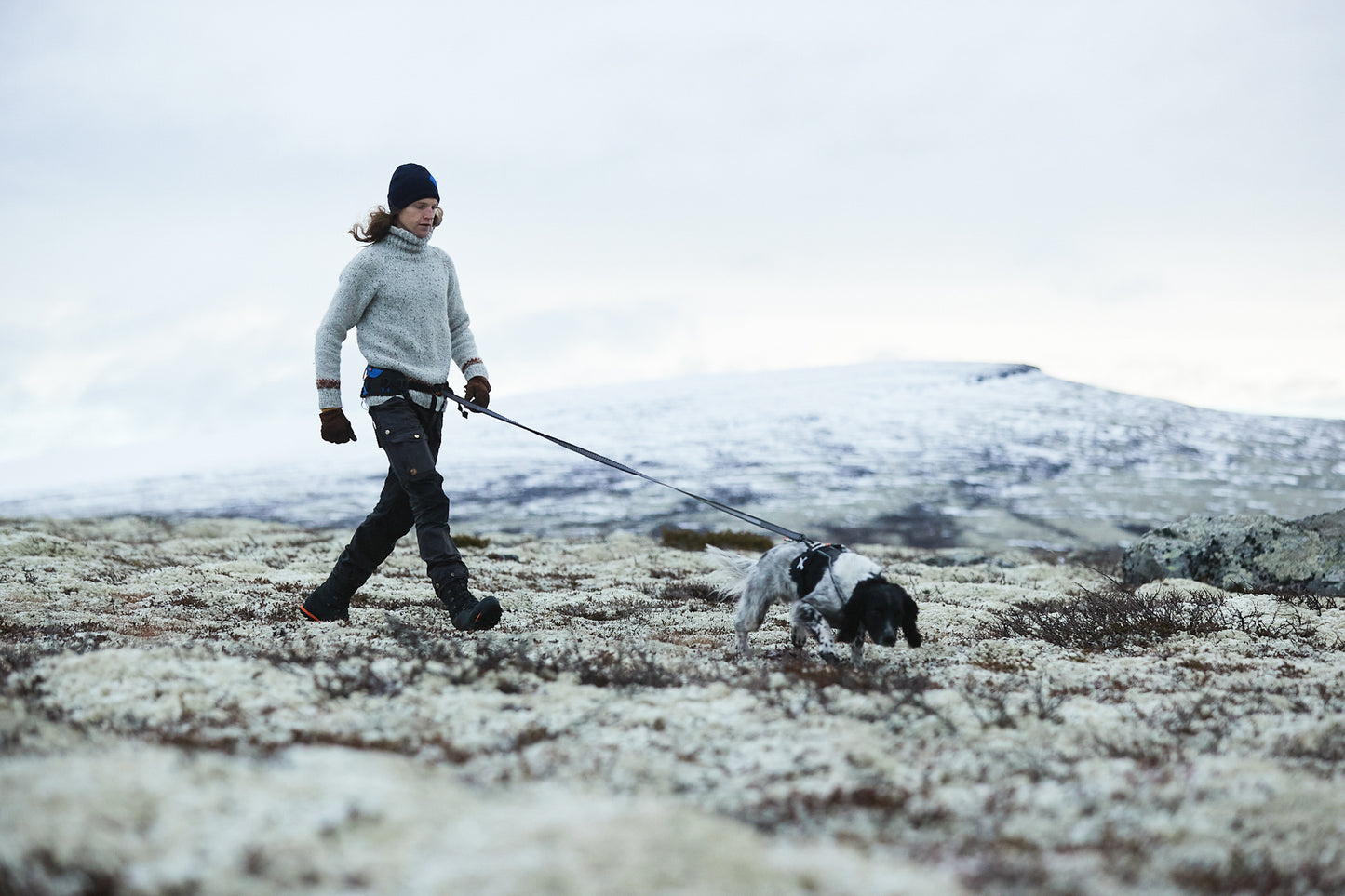 Non-stop Dogwear Touring Bungee Leash