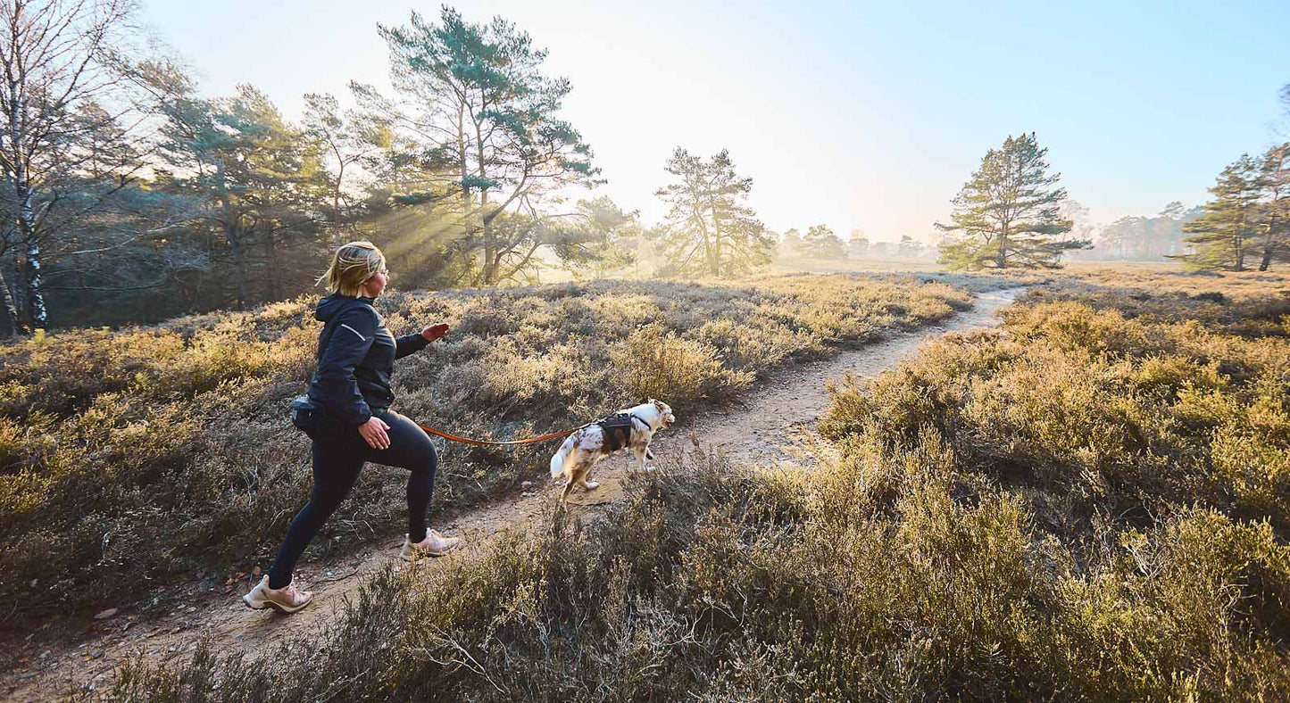Non-stop Dogwear Trail Light Belt