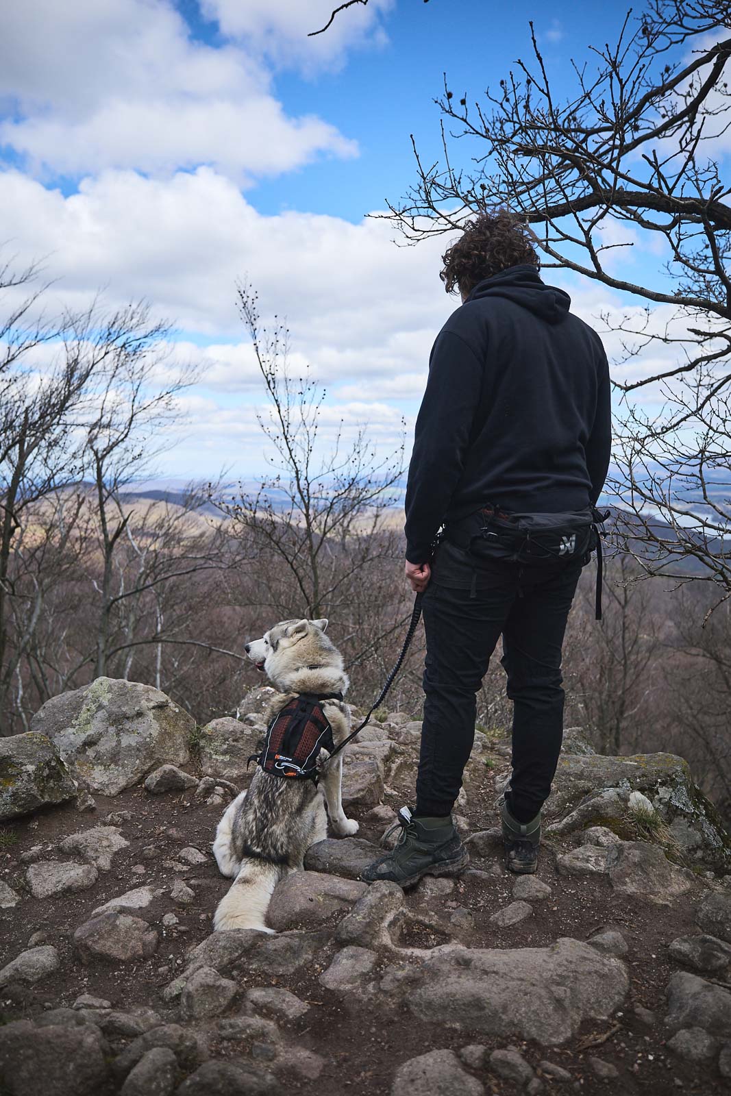 Non-stop Dogwear Trail Light Belt