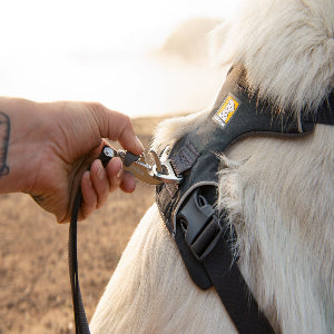 Everyday Harnesses